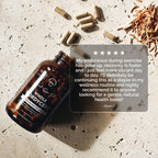 Australian Grown Cordyceps Mushroom