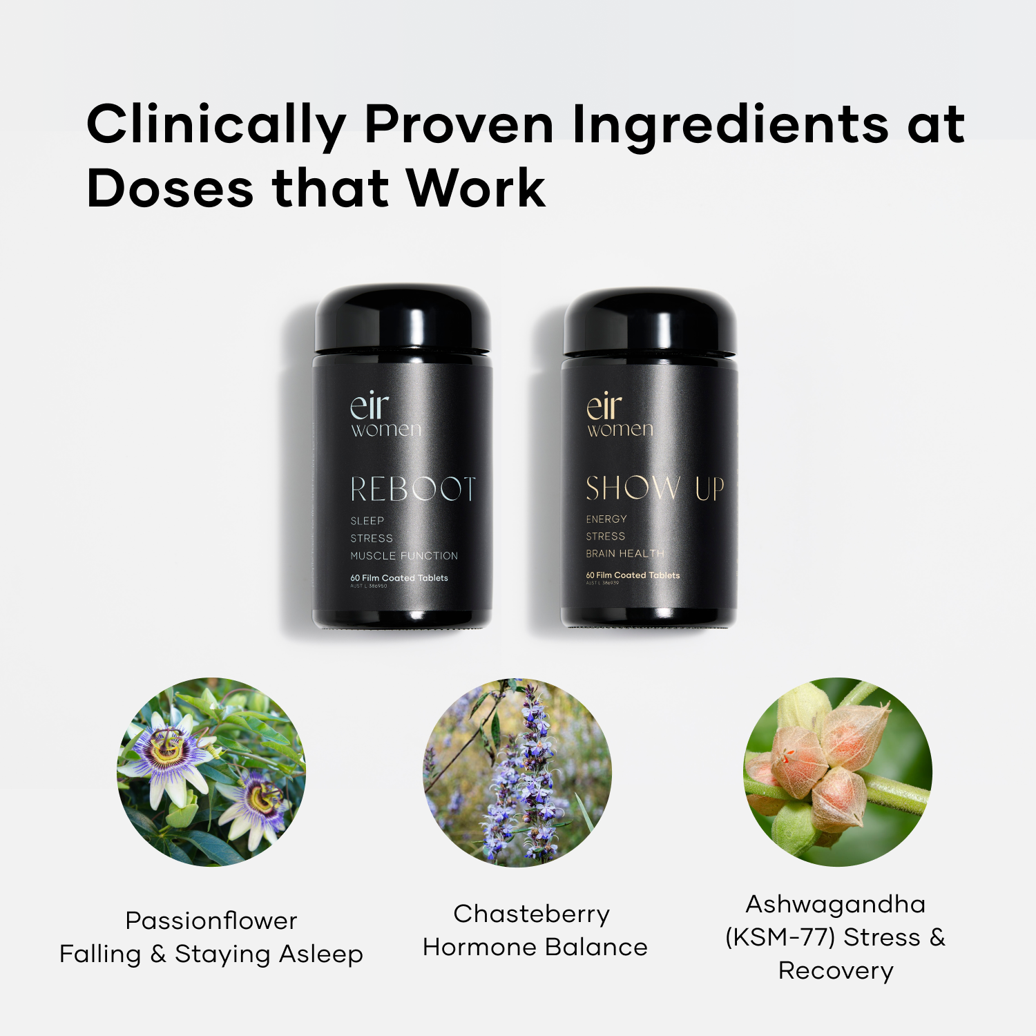 Lisa's Longevity Bundle
