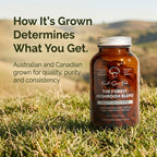 Mushroom Blend Capsules