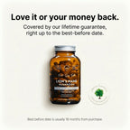 Lions Mane Whole Mushroom Capsules