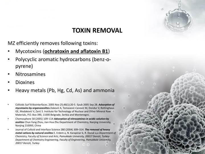 ZeoOne Zeolite Powder 200g