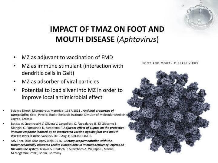 ZeoOne Zeolite Powder 200g
