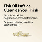 Phyto Omega 3