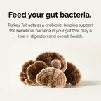 Australian Grown Turkey Tail Capsules