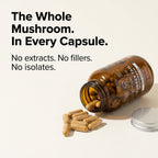 Australian Grown Turkey Tail Capsules