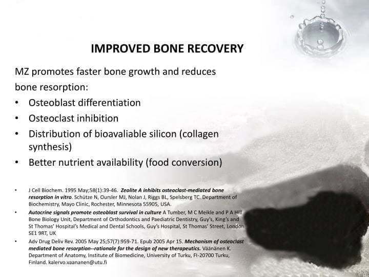 ZeoOne Zeolite Powder 200g